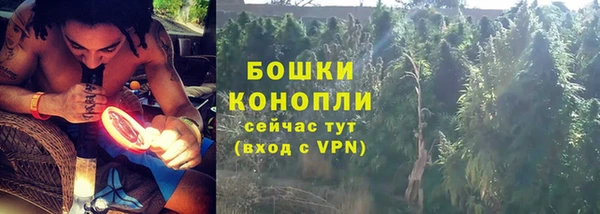 PSILOCYBIN Пролетарск