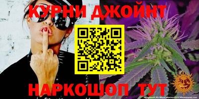 шишки Волжский