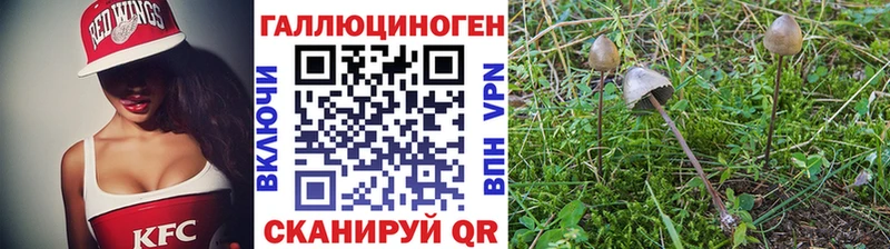 Псилоцибиновые грибы Cubensis  где купить наркоту  Похвистнево 