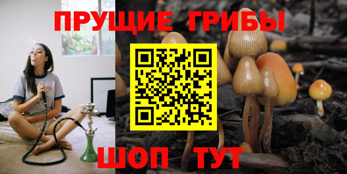 Галлюциногенные грибы MAGIC MUSHROOMS  Псилоцибиновые грибы мицелий  Вход с VPN  Похвистнево 